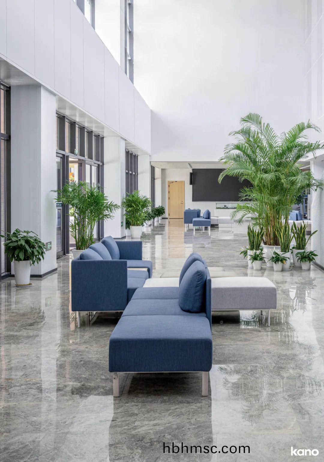 大學(xue)辦(ban)公(gong)樓接(jie)待(dai)沙髮