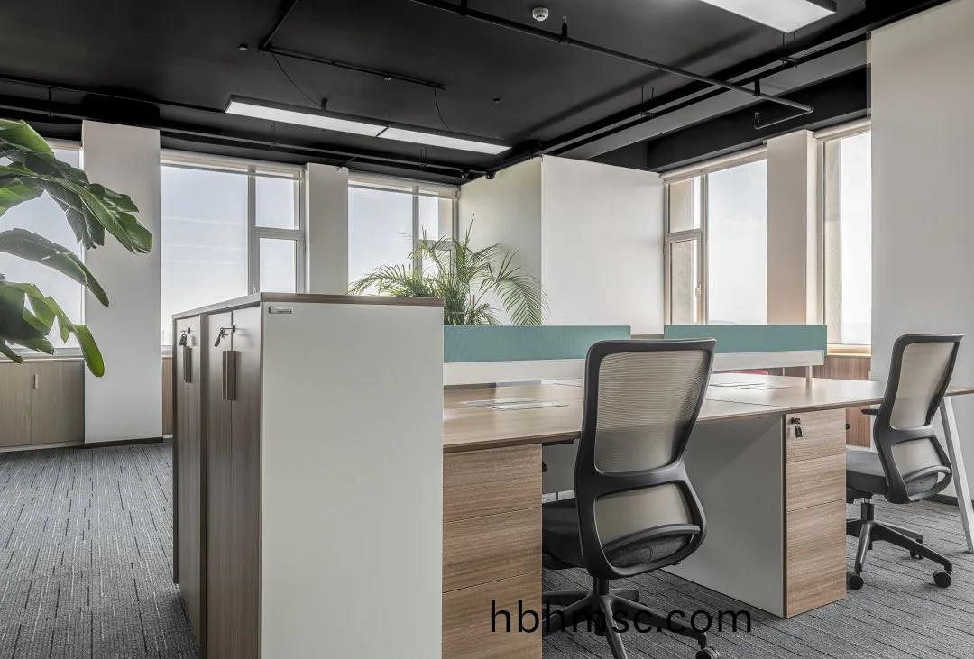 簡約舒適(shi)現代(dai)辦(ban)公室傢具(ju)案(an)例(li)之(zhi)職(zhi)員椅(yi)子(zi)