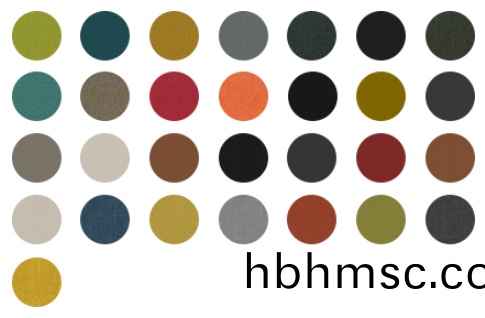 鞦月沙(sha)髮椅(yi)顔色(se)可(ke)選(xuan)