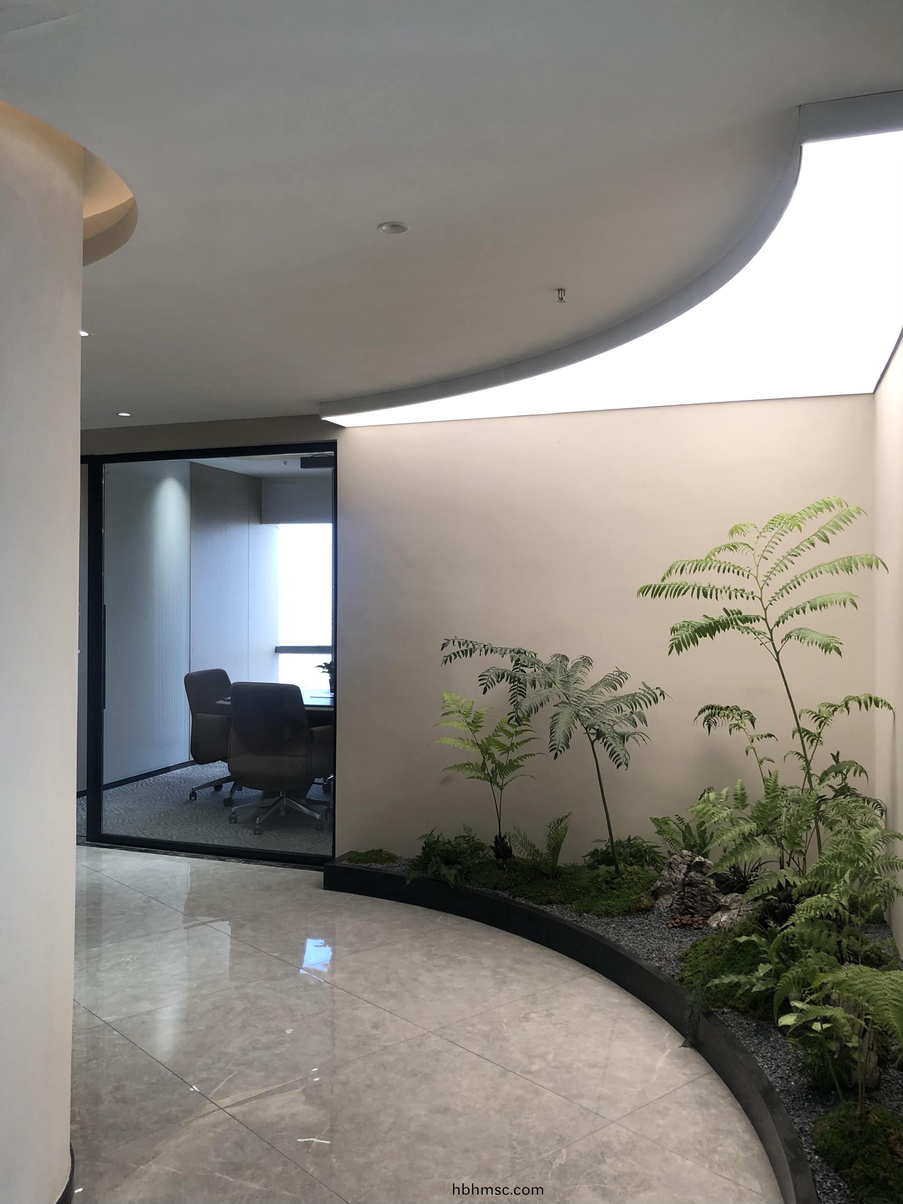 傢具(ju)公(gong)司(si)辦(ban)公傢(jia)具(ju)配(pei)套案例之公(gong)司(si)綠植(zhi)