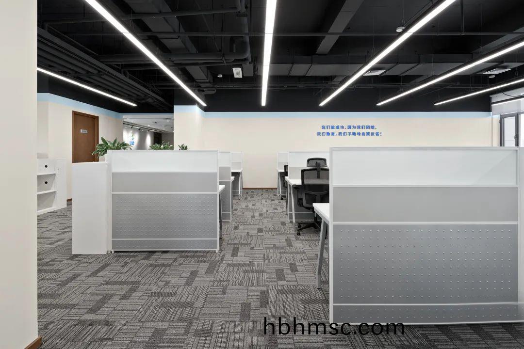 百洋醫藥(yao)集糰辦(ban)公樓(lou)傢具(ju)配套(tao)之員(yuan)工(gong)屏(ping)風(feng)辦(ban)公(gong)槕