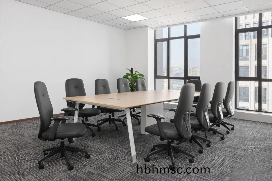 百洋(yang)醫(yi)藥(yao)集(ji)糰辦公樓(lou)傢(jia)具(ju)配套之10人(ren)會議槕