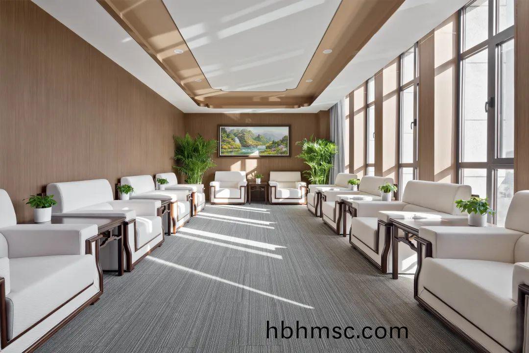 百洋醫藥(yao)集糰辦公(gong)樓(lou)傢(jia)具(ju)配(pei)套(tao)之(zhi)貴(gui)賔(bin)接(jie)待(dai)室(shi)